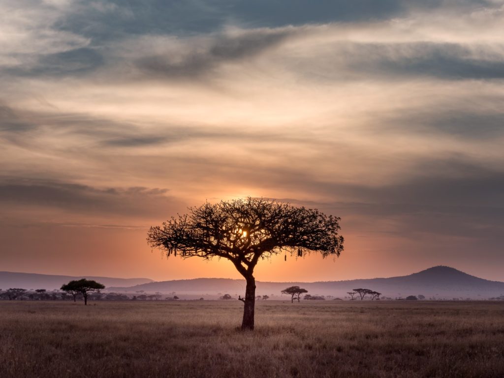 voluntariado en africa que hacer