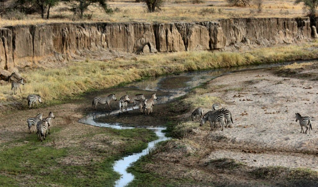 voluntariado en africa tanzania