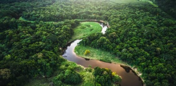 voluntariado por america amazonas